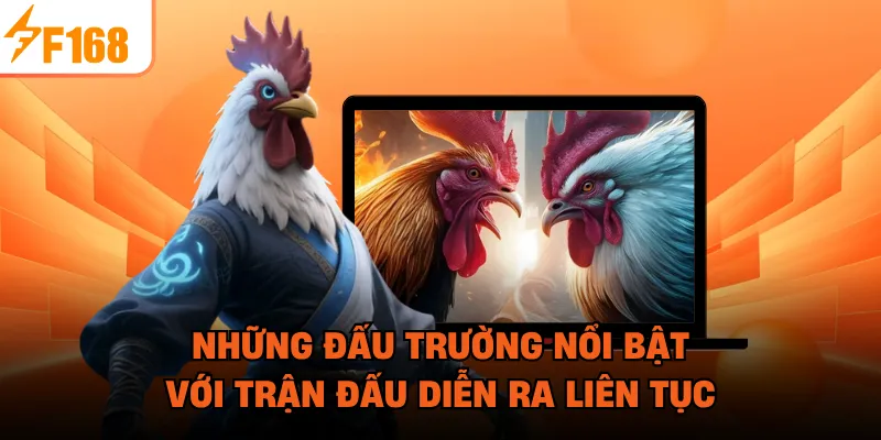 Những đấu trường nổi bật với trận đấu diễn ra liên tục